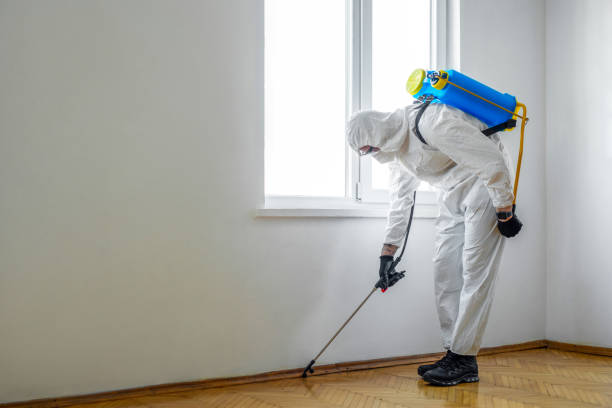 Best Local Pest Control Services  in Richville, OH