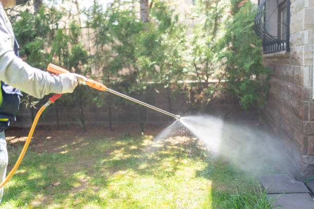 Best Affordable Pest Control Services  in Richville, OH