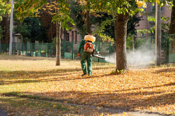 Best Bed Bug Extermination  in Richville, OH