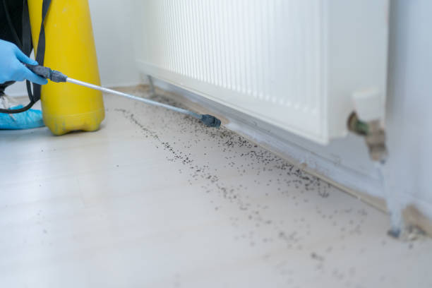 Pest Prevention Services in Richville, OH